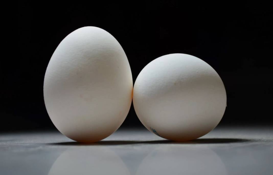 Beyaz mı kahverengi mi? Hangi yumurta daha sağlıklı? 15